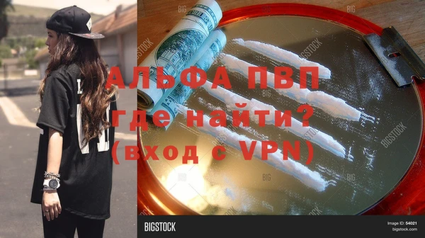 стаф Алексин