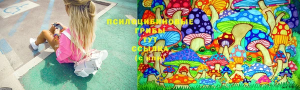 стаф Алексин