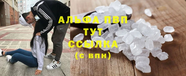 стаф Алексин