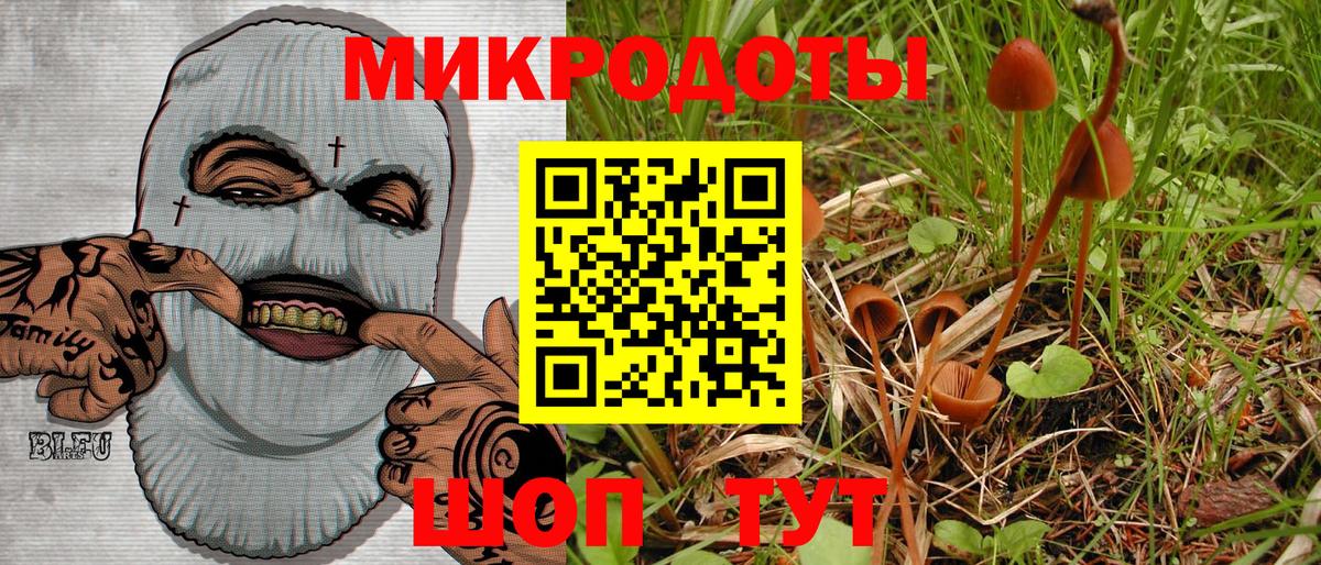 Псилоцибиновые грибы Magic Shrooms  Галлюциногенные грибы мухоморы  Качканар  Вход с VPN 