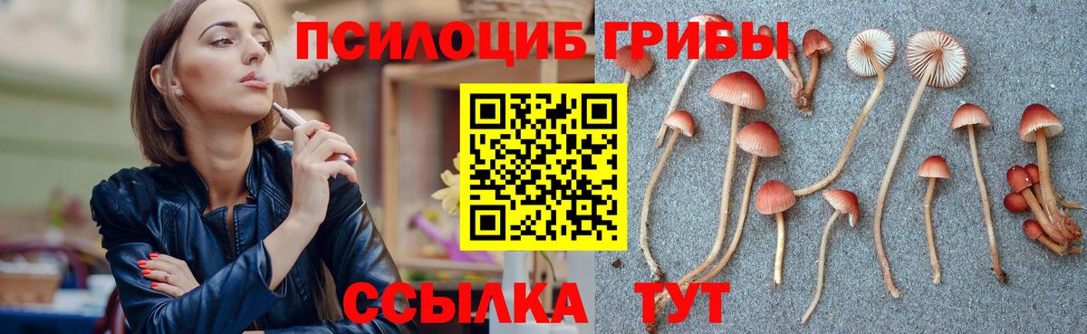 Галлюциногенные грибы MAGIC MUSHROOMS Качканар