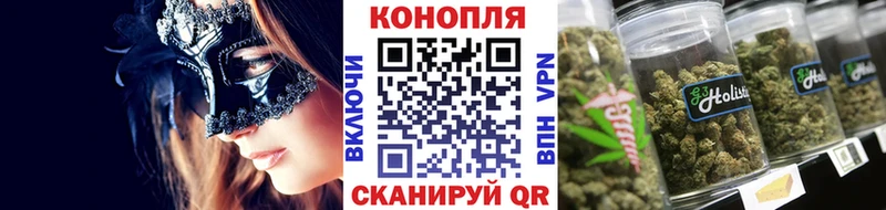 Марихуана индика  сколько стоит  Качканар 